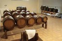 Albinea Municipal vinegar cellar
