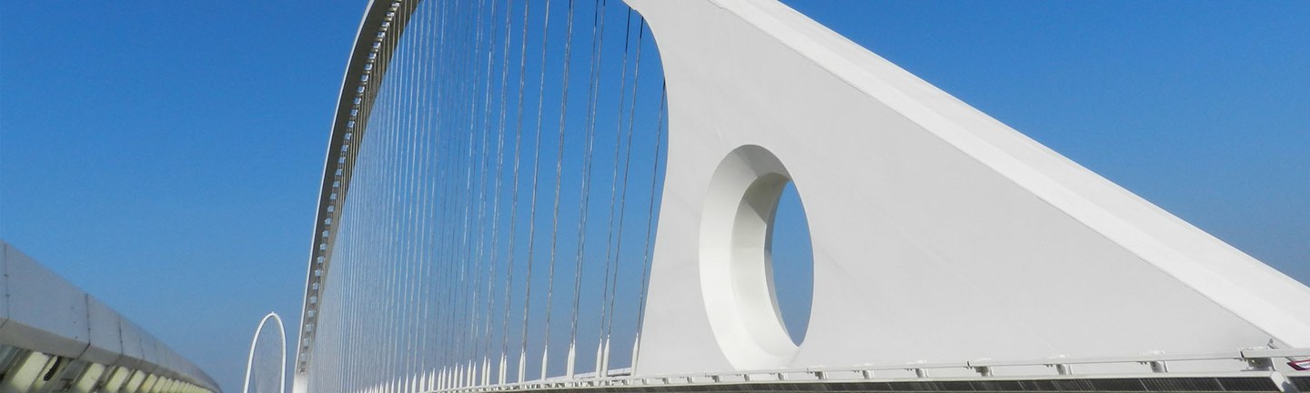 Comune di Reggio Emilia_Progetto Santiago Calatrava