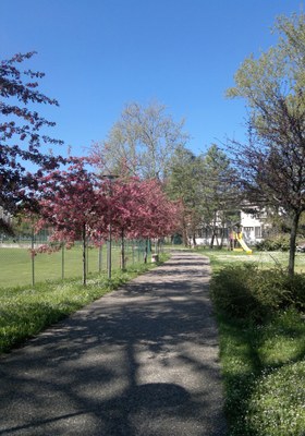 Via Adua