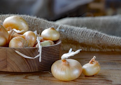 Borettana Onion De.C.O.