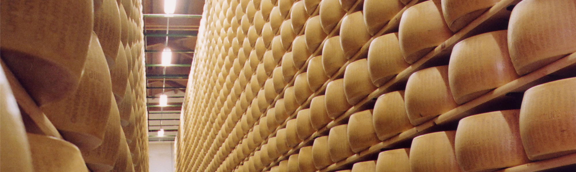Cheese dairies