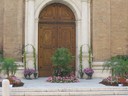 Re di Fiori 2007