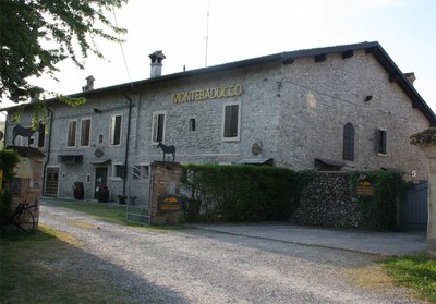 Montebaducco Holiday Farm - outside