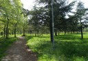 I Frassini Park
