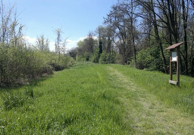 Nature Area of the Rodano Torrent