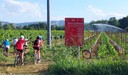 Sentiero Spallanzani (Spallanzani Trail)