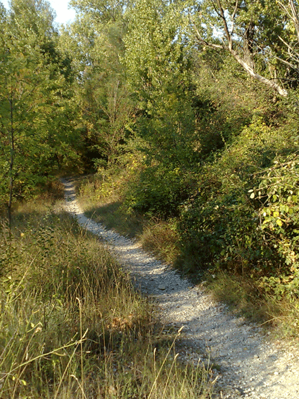 Educational naturalistic route along the Crostolo torrent