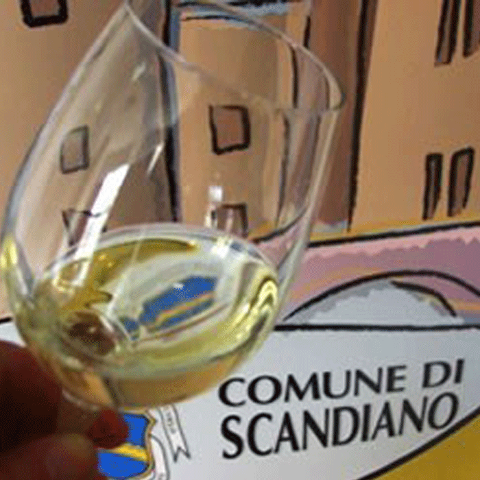 Scandiano Spergola Wine