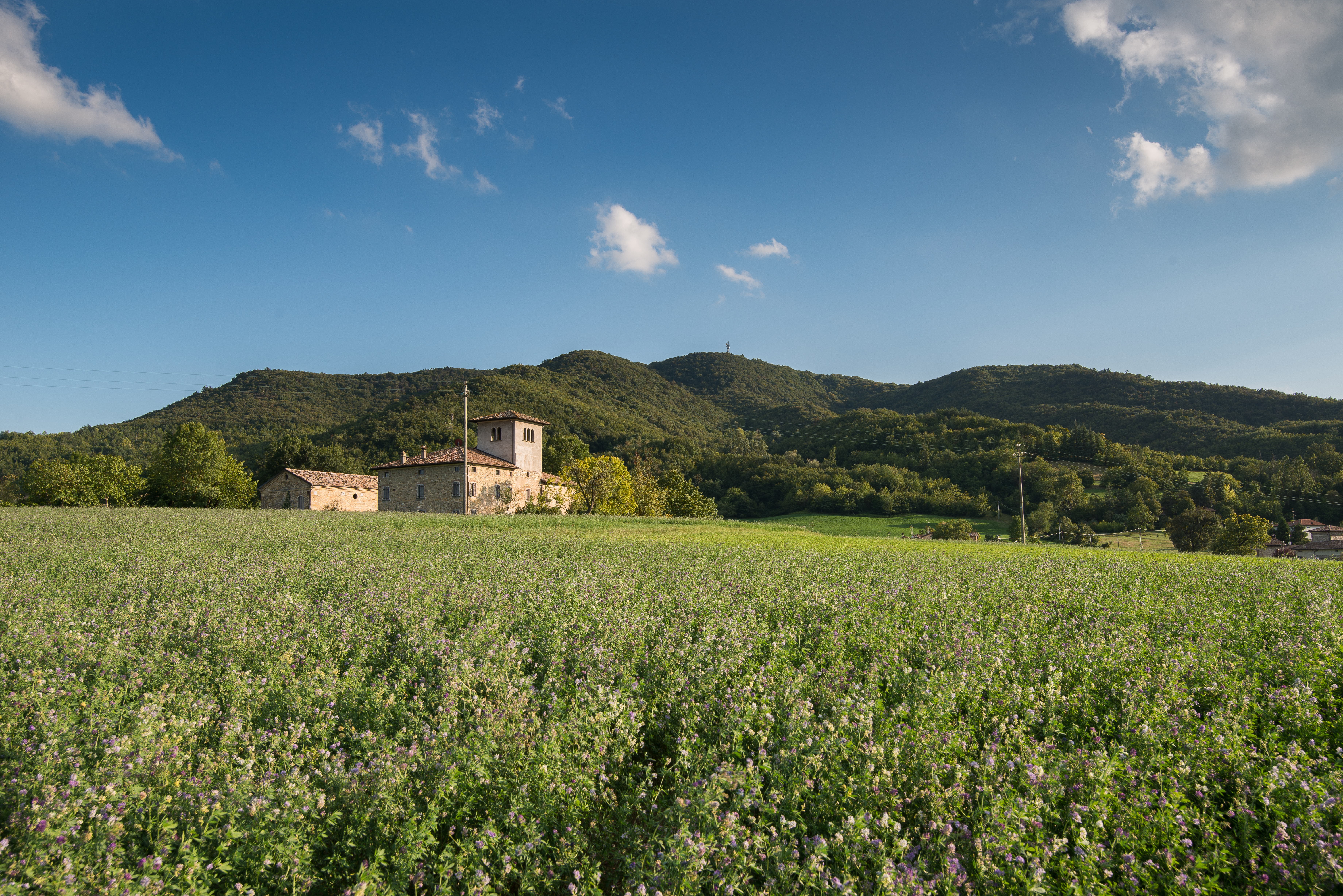 On the Apennines' Doorstep - From Secchia to Enza river