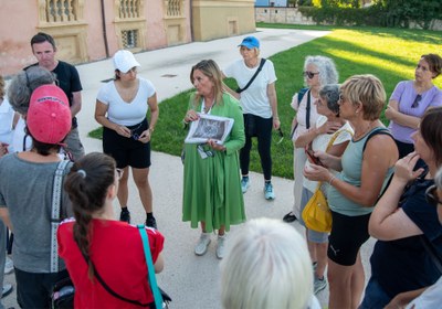 Guided tours