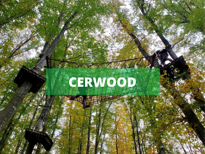 cerwood