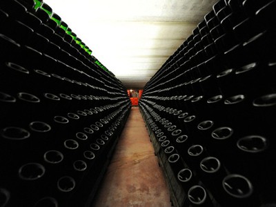 Cantina (consorzio vini reggiani)