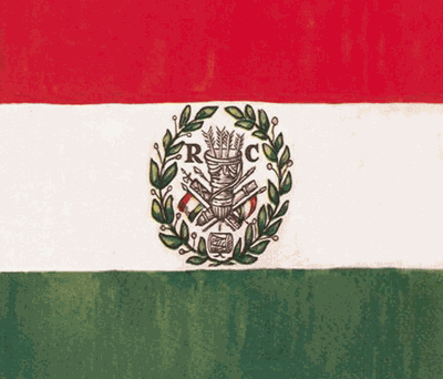 Tricolour flag