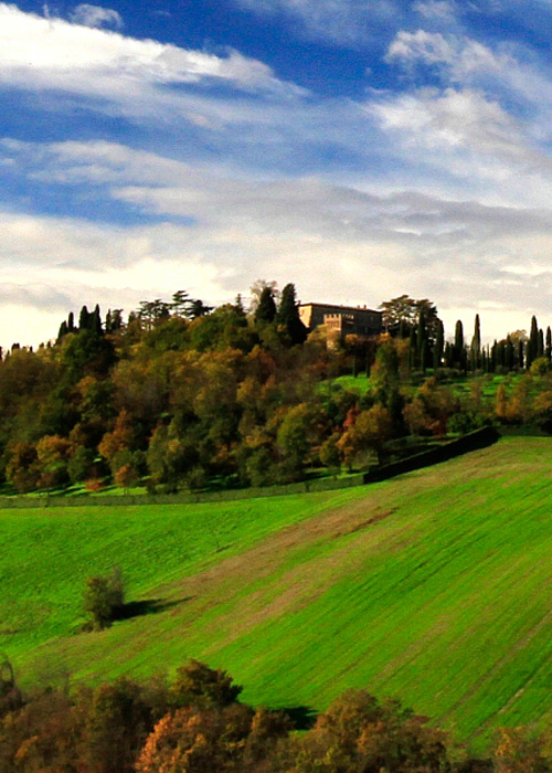 Castello di Albinea