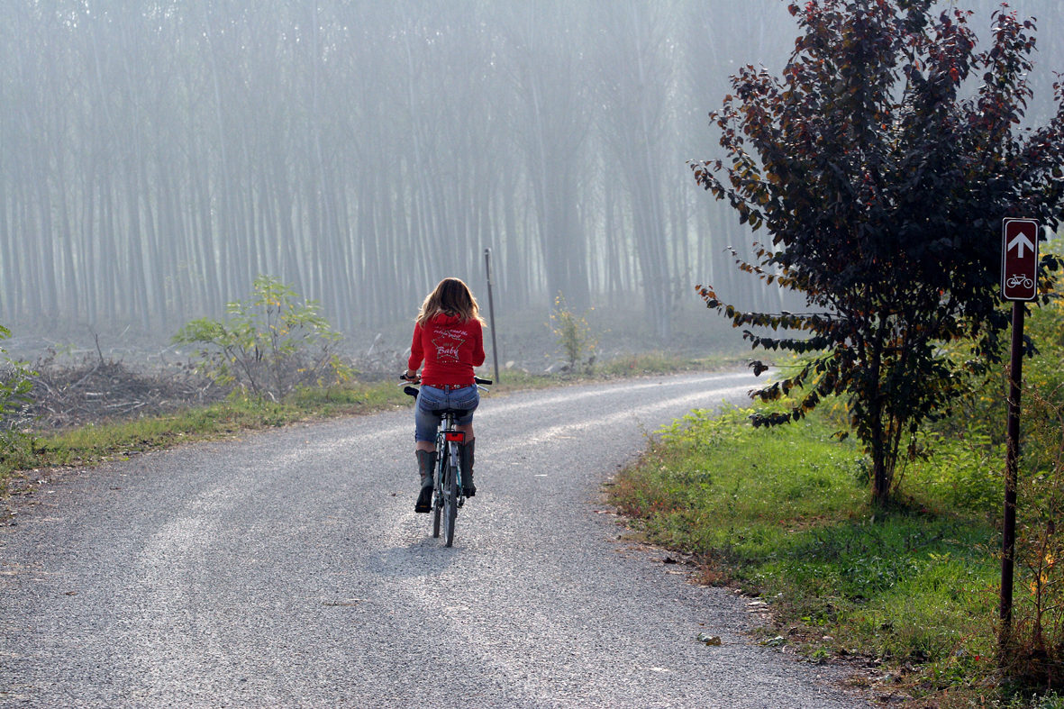 Le piccole capitali del Po in bicicletta