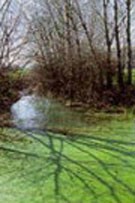 Immagine Fontanili di Valle Re