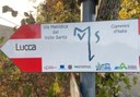 Trekking urbano sulla Via Matildica del Volto Santo