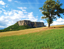 Appennino Reggiano