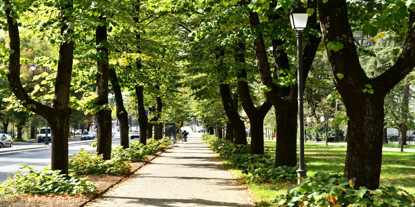Foto: Comune di Reggio Emilia