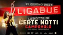 Ligabue. La notte di certe notti