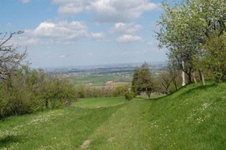 Immagine Parco di Roncolo