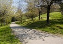 Parco Naturalistico di Roncolo