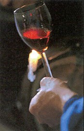 Bicchiere con Lambrusco