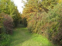 Immagine Oasi di Marmirolo