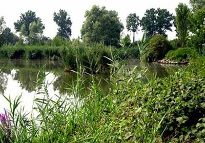 Oasi di Marmirolo