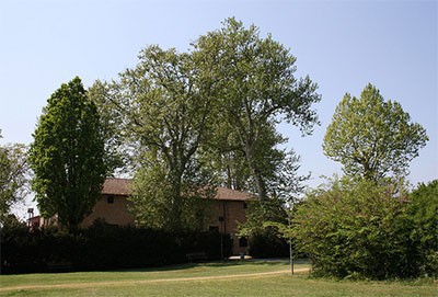 Parco del Rodano  - Mauriziano