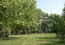 Parco I Platani (Via Fenulli)