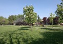 Parco Paolo Davoli “Sartorio”  - già Il Nocciolo Rosso  (Via Puccini)