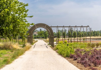 Reggia di Rivalta-pergola