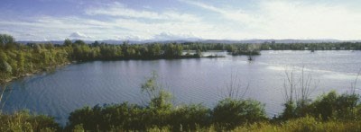Immagine Casse di espansione del Fiume Secchia Immagine Casse di espansione del Fiume Secchia