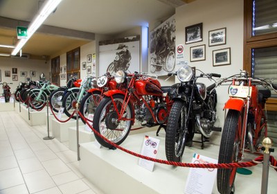 Collezione Salsapariglia