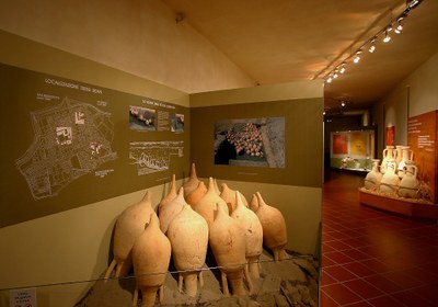Museo Archeologico "Albino Umiltà"