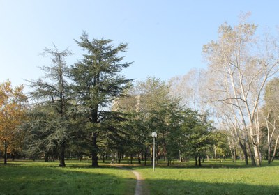 Via Martiri della Bettola