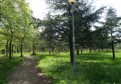 Via Confalonieri