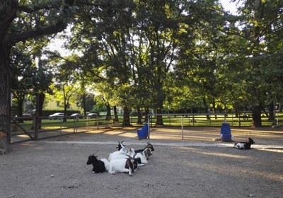 Uno degli spazi verdi naturalistici più amati e frequentati dai reggiani ed è collegato al centro urbano  dalla “passeggiata Estense” e dalla Greenway del Fiume Crostolo.