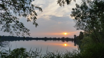 Area naturalistica interprovinciale di origine artificiale sul fiume Secchia caratterizzata da zone umide con centro di educazione ambientale. 