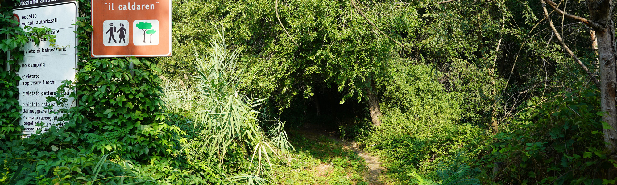 13 ettari di bosco planiziale, stagni e fauna selvatica, tra natura, storia e paesaggio del Po.