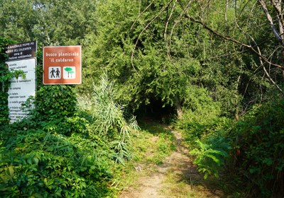 13 ettari di bosco planiziale, stagni e fauna selvatica, tra natura, storia e paesaggio del Po.