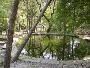 Immagine Ecoparco Pineta di Vezzano sul Crostolo Immagine Ecoparco Pineta di Vezzano sul Crostolo