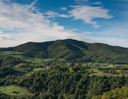 Itinerari a piedi e in bici a Vezzano